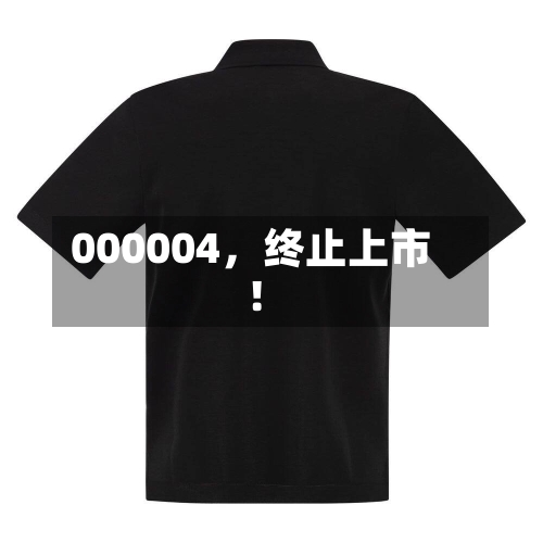 000004	，终止上市！-第2张图片