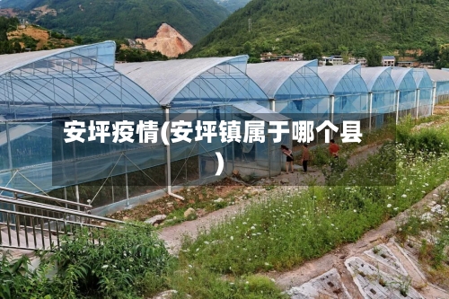 安坪疫情(安坪镇属于哪个县)-第3张图片