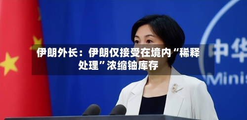 伊朗外长：伊朗仅接受在境内“稀释处理”浓缩铀库存-第3张图片