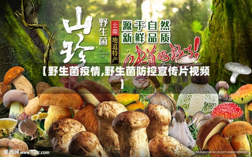 【野生菌疫情,野生菌防控宣传片视频】