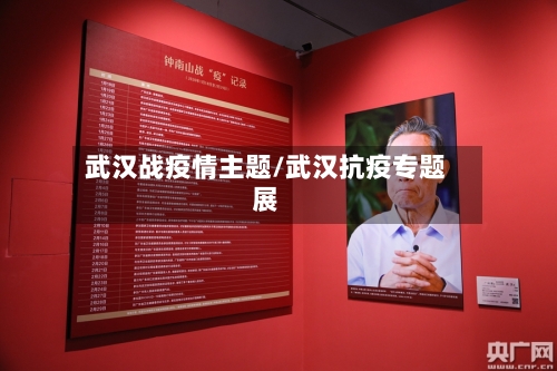 武汉战疫情主题/武汉抗疫专题展-第3张图片