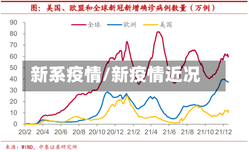 新系疫情/新疫情近况-第2张图片