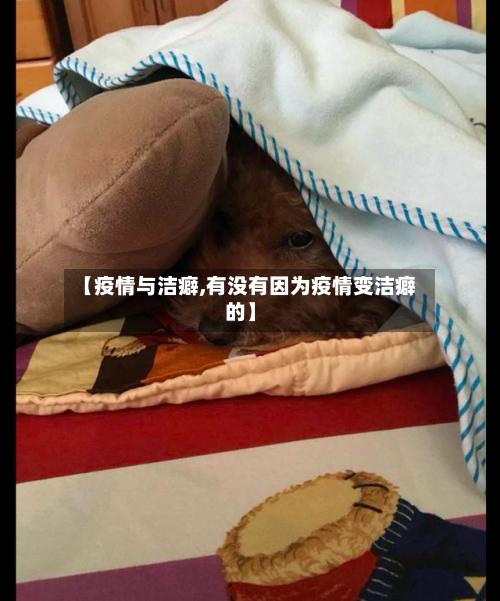 【疫情与洁癖,有没有因为疫情变洁癖的】-第2张图片