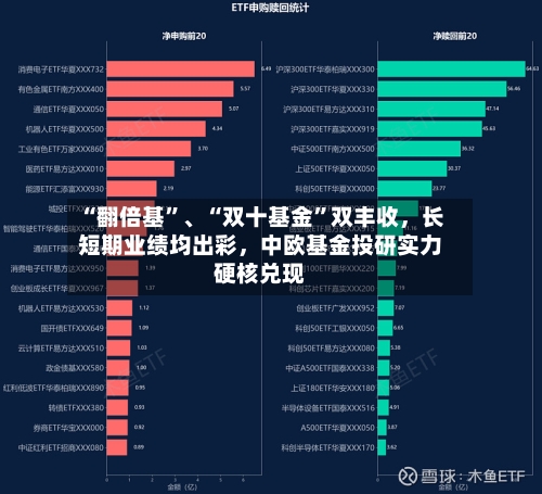 “翻倍基”、“双十基金”双丰收，长短期业绩均出彩，中欧基金投研实力硬核兑现