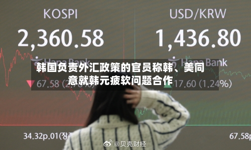 韩国负责外汇政策的官员称韩、美同意就韩元疲软问题合作-第2张图片
