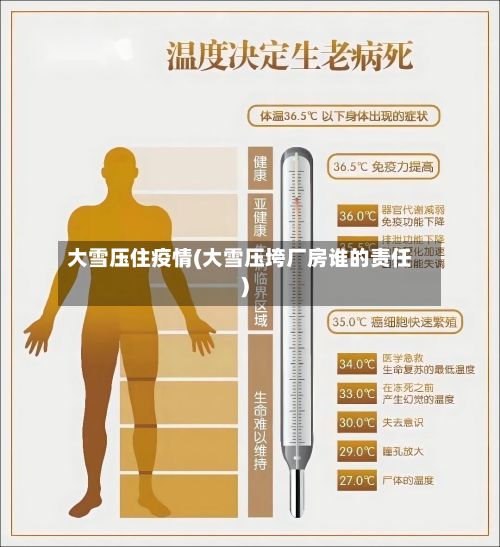 大雪压住疫情(大雪压垮厂房谁的责任)-第3张图片
