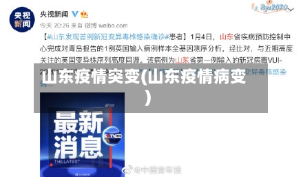 山东疫情突变(山东疫情病变)-第2张图片