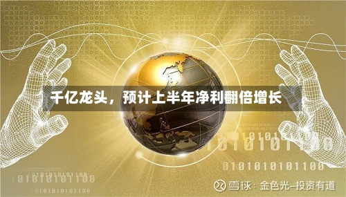 千亿龙头，预计上半年净利翻倍增长-第3张图片