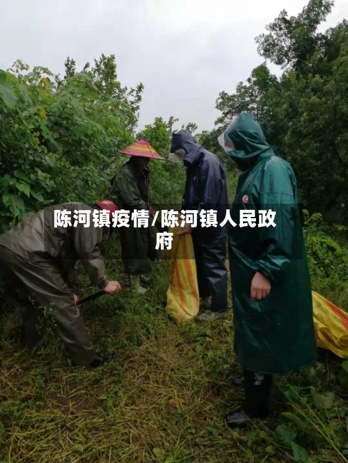 陈河镇疫情/陈河镇人民政府-第2张图片